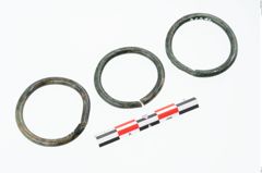 Foto von Bronzering (NHMW-PRAE-025834)